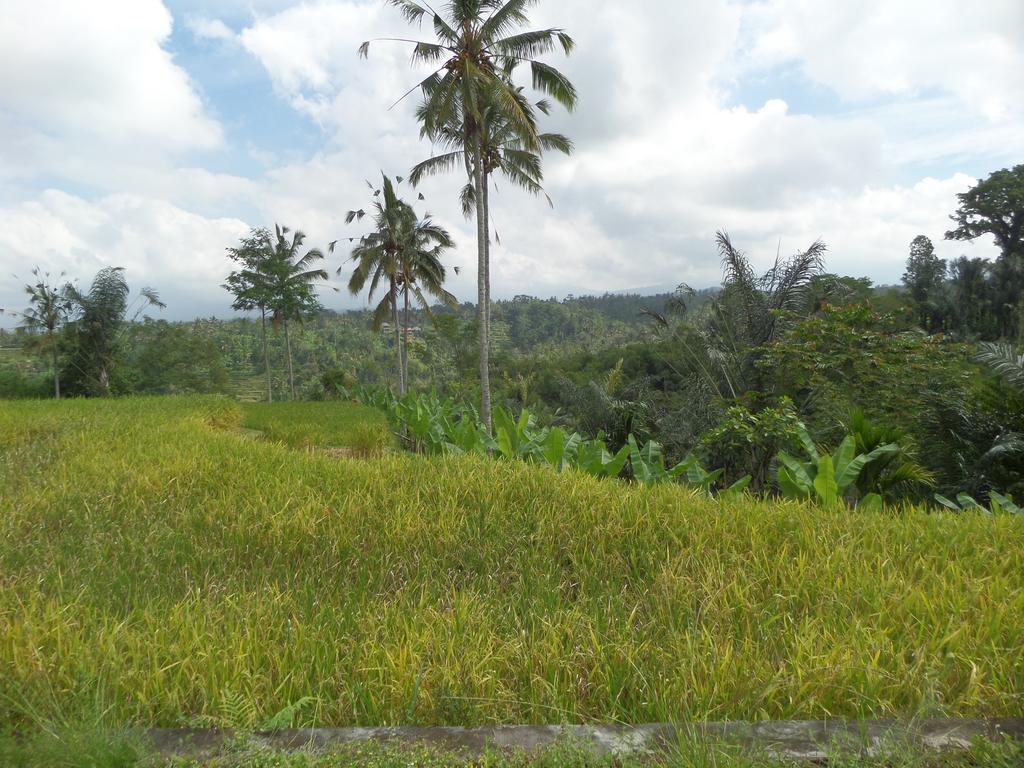 Senetan Villas And Spa Resort Ubud  Exterior photo