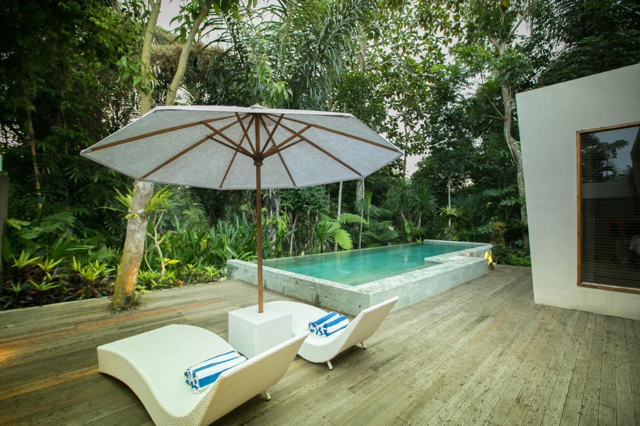 Senetan Villas And Spa Resort Ubud  Room photo